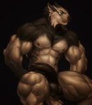 Penis Muscle Furry - Telegraph